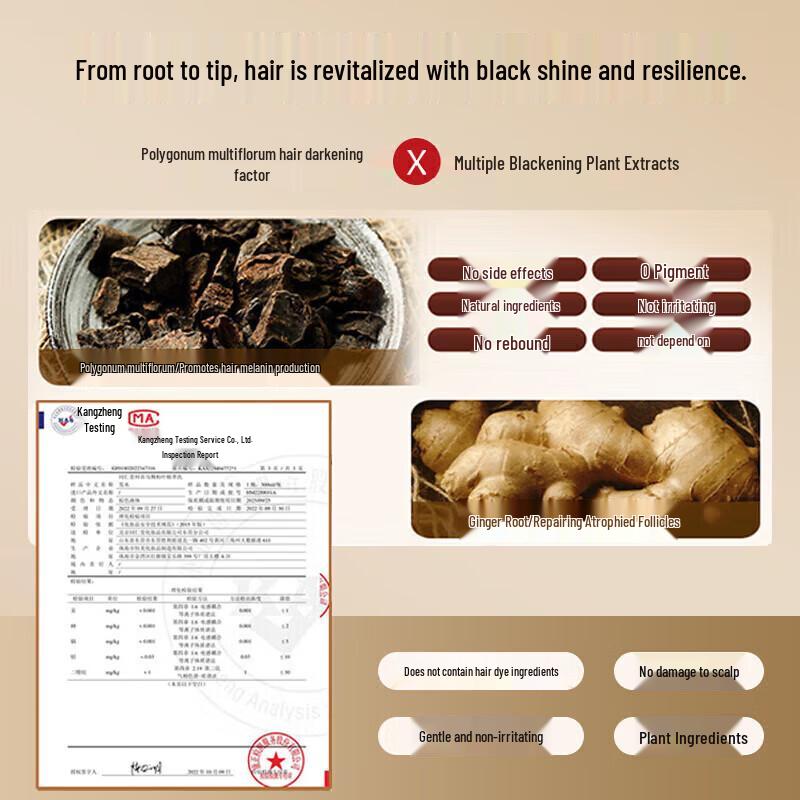 Baiyunshan Herbal Folic Acid Black Hair Shampoo