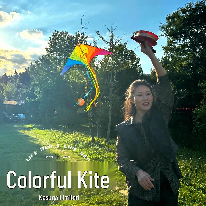 2026 High-End Rainbow Kite for Adults: Easy Flying, Vibrant Colors, Perfect for Light Breeze and Photography