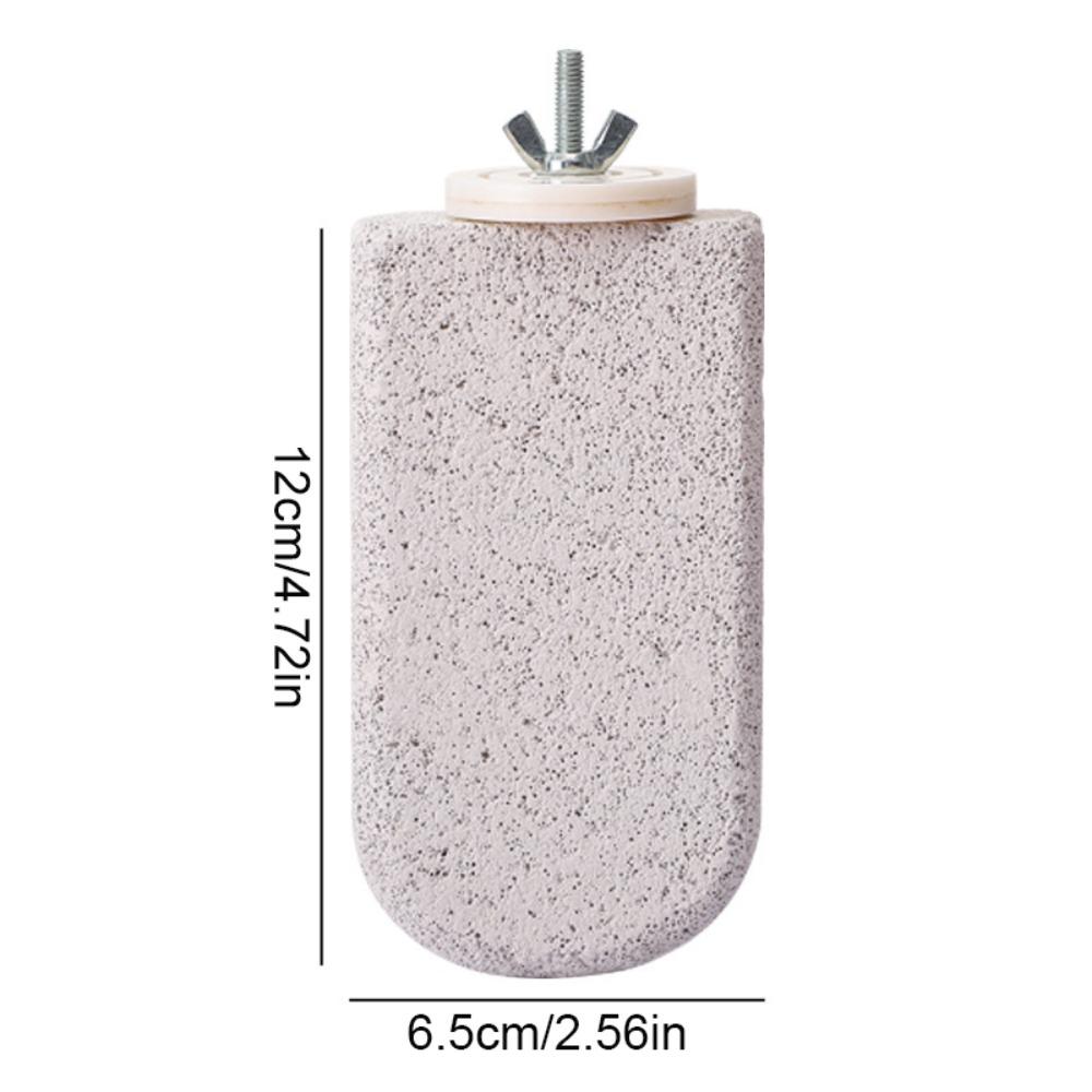 Pumice Bird Perch Stand Claw Grinding Bird Resting Platform Sturdy Parrot Stand Board  Lovebirds