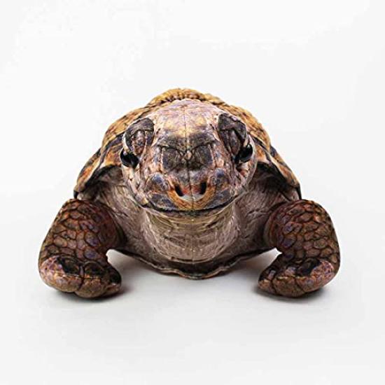 Taiyo Sangyo Boeki Wild Graphy Giant Tortoise Plush Toy SA041