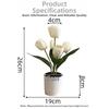 3/5 Heads Artificial Tulip Flower Bonsai Multicolor White Flowerpot Simulation Flower Bonsai Photo Props Faux Flower Potted Gift