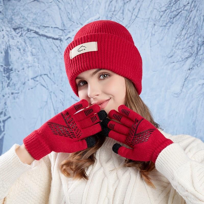 Hat Women Knitted Gloves Set With Face Mask And Windproof Neck Cover For Outdoor