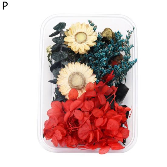 Artă populară Floare uscată Moale Vii Estetică