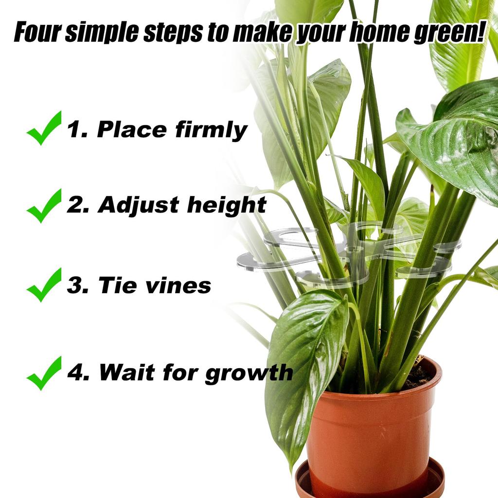 6pcs Plant Stem Support Stem Holder with Holes Acrylic Plant Trellis Stakes Plant Stabilizer Leaf Holder and Climbing Rack