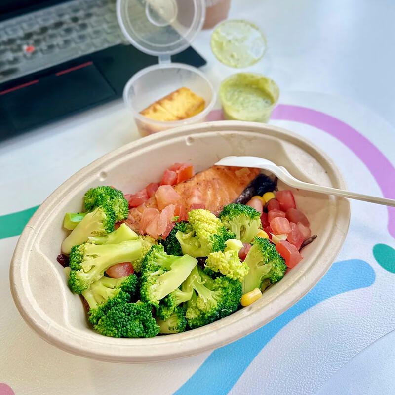 

Disposable Pulp Takeaway Bowls with PET Lids