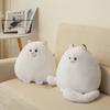 Peluche Gatto Persiano Bianco con Morcida Imbottitura in Cotone per Bambine e Bambini Regalo