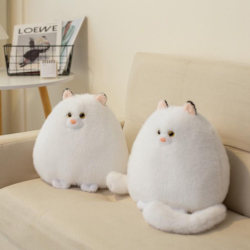 Peluche Gatto Persiano Bianco con Morcida Imbottitura in Cotone per Bambine e Bambini Regalo