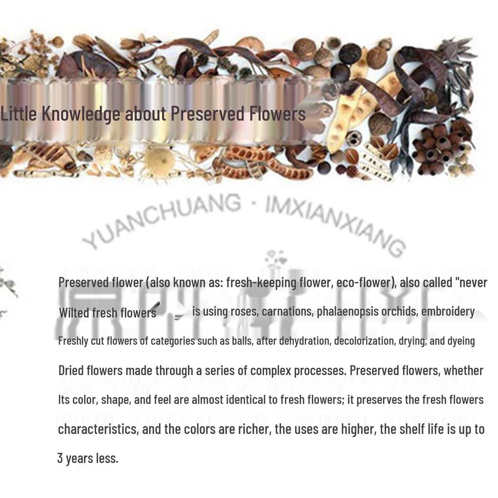 Preserved Flower Wedding Boutonniere & Wrist Corsage Set