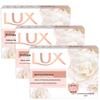 LUX Detox & Antibacterial Moisturizing Soap