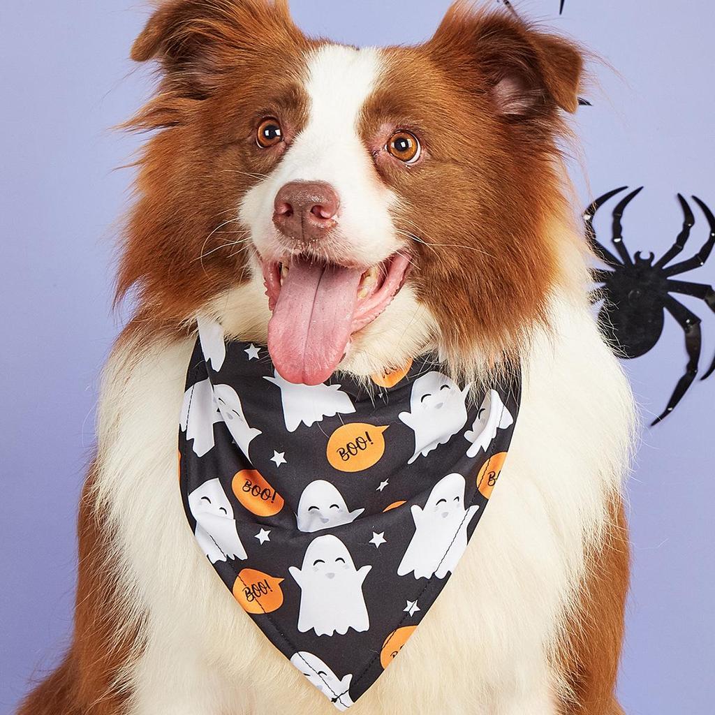 Halloween Pet Bib & Scarf for Cats and Dogs