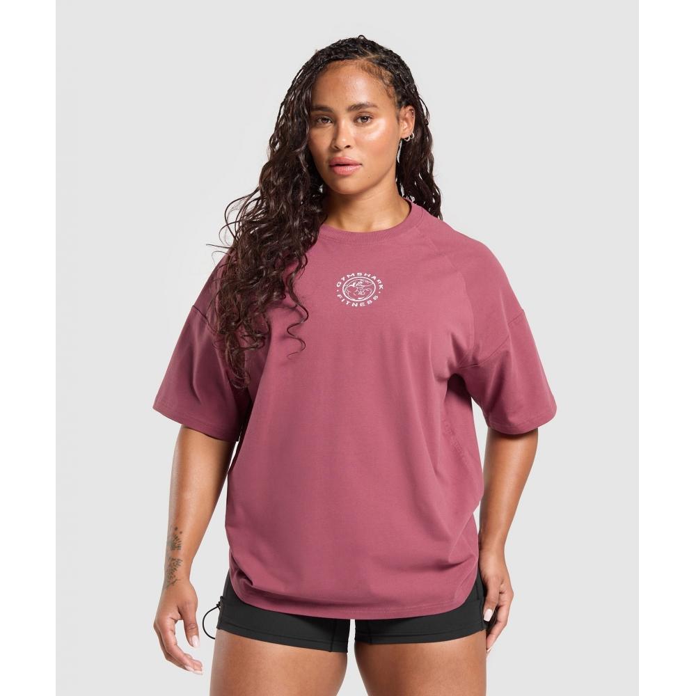 

Gymshark Футболка Legacy Logo Oversize, цвет Washed Berry Pink B3c2k Kcps XS