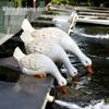 White Duck Pond Decoration with Fish - Resin Garden Ornament