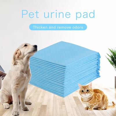 Hunde – Varer til hundepleje