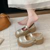 Platform Mary Jane single shoes women's autumn 2025 new muffin small man fashionable versatile word with small leather shoes