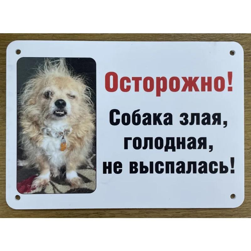 Dog May Eat Funny Metal Sign 30x20cm, Pet Humor Home Wall Decor Plaque