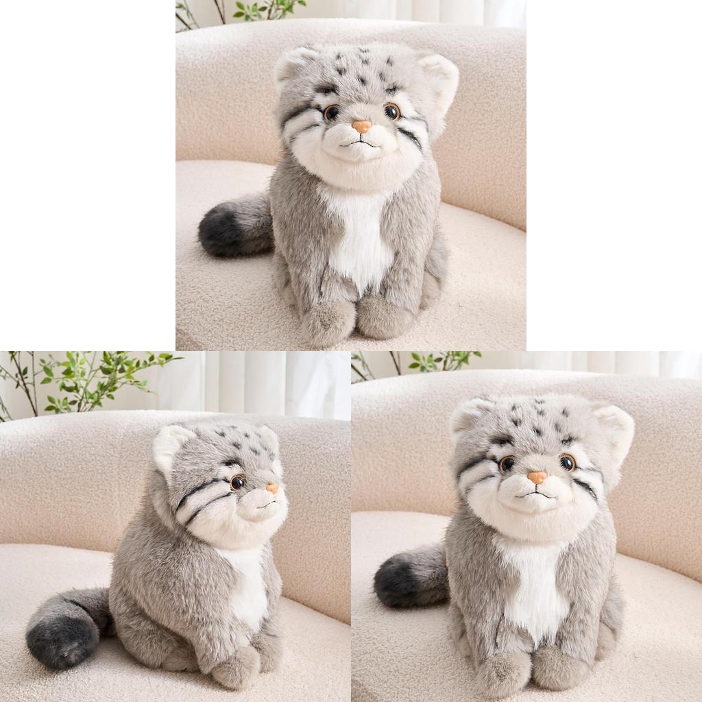 Peluche Corto Gatto Pallass Peluche Giocattolo Per Regalo E Esposizione