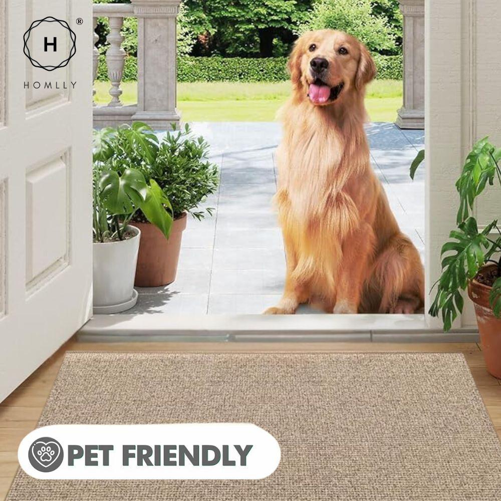 Homlly Hello Washable Non-Slip Coil Soft Entrance Door Mat (X2PCS)