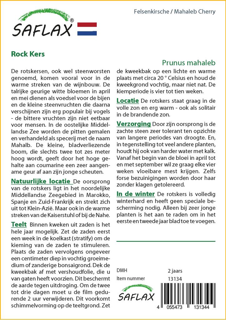 SAFLAX Mahaleb Cherry - 30 Seeds - Prunus Mahaleb