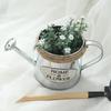 Creative Retro Small Iron Watering Can Garden Ornaments Flowerpots Home Decoration Bucket Pots for Flowers Plant Accessories
