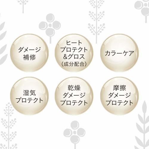 SALON STYLE KOSE Biolis Botanical Aesthetic Gloss Coating Conditioner (Smooth) (Smooth and Smooth) Frizz Dry Damage Care Treatment Peony & Fresh Berry