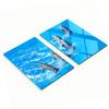 Multifunctional Decorative Glass Boards with Dolphin Print 2X40X52 Cm