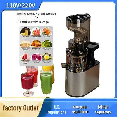 Small Household & Commercial Large Caliber Juicer and Pulp Separator – Automatic Slow Speed Fruit Blender
