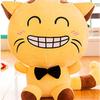 New Big-faced Cat Doll Plush Toy Large Pillow Rag Doll Valentine's Day Gift