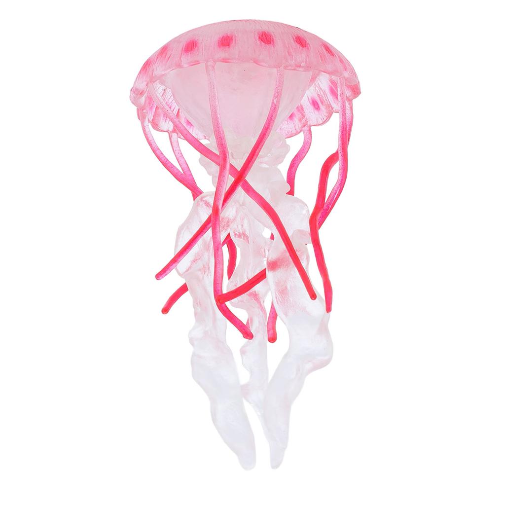 4 Stück Quallen Wachstumszyklus Figur Pädagogisches Spiel Simuliertes Quallenmodell Spielzeug Realistisch