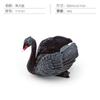 Simulation Mute Swan Black Swan Hen Duck Farm Poultry Chicken Duck Goose Decorative Model Static Ornament