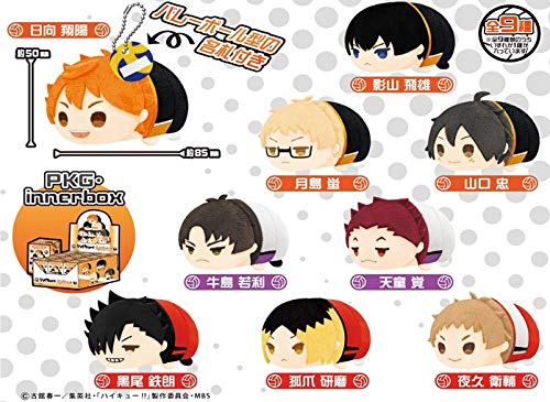 

Mochimochi Mascot Haikyu!! vol.1 (Resale) 1 Box of 9