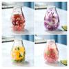 Mini Glass Decorative Bottle with Dried Flowers Compact Transparent Floral Ornament for Desk Bedside Window Sill Double Wall Hydroponic Vase Home