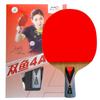 Double Fish 4-Star Table Tennis Racket