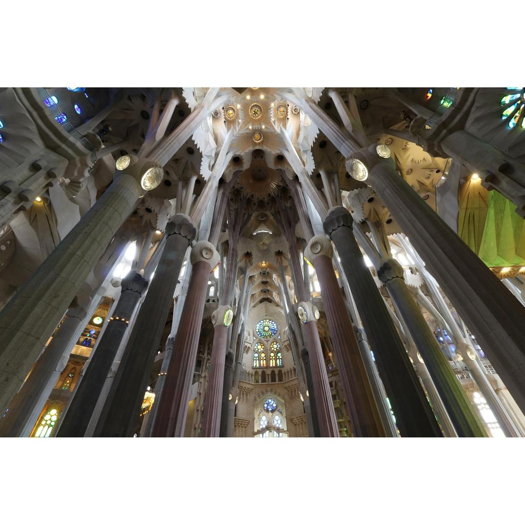 Canon EF-S 10-18mm F4.5-5.6 IS STM Ultra Wide-Angle Zoom Lens for APS-C