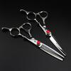 6.0" LH1 Large Gem Double-Sided Hair Cutting & Thinning Scissors