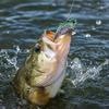 All Depth Hard Plastic Fishing Crankbait for Trout Fishing