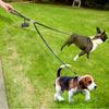 Guinzaglio per Cani a 2 Vie Doppio Due Animali in Pelle Senza Intrecci Accoppiatore con Manico per Passeggiate e Addestramento 2 Cani Piccoli Medi