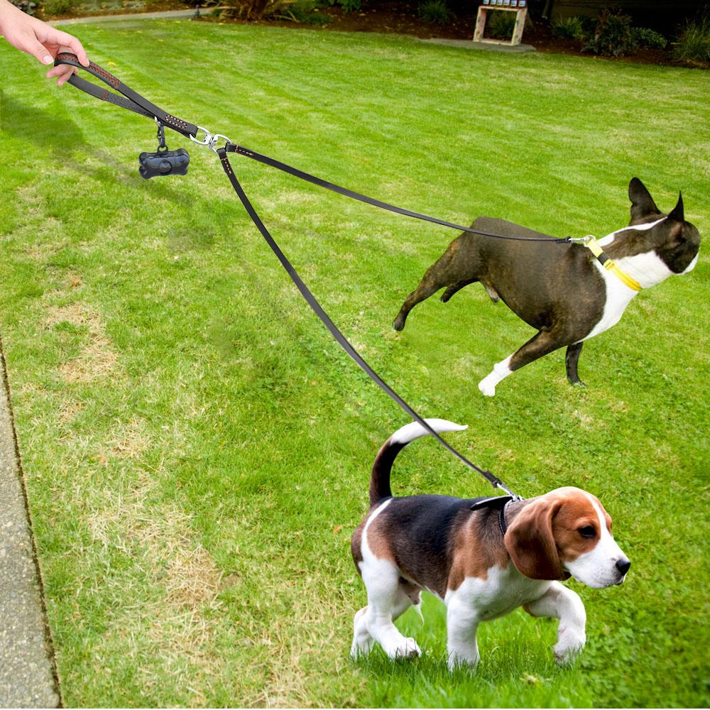 Guinzaglio per Cani a 2 Vie Doppio Due Animali in Pelle Senza Intrecci Accoppiatore con Manico per Passeggiate e Addestramento 2 Cani Piccoli Medi
