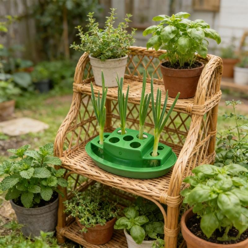 Intelligent Water Circulation Herb Planter Container ABS Hydroponics Box For Continuous Harvesting Freshness Scallions