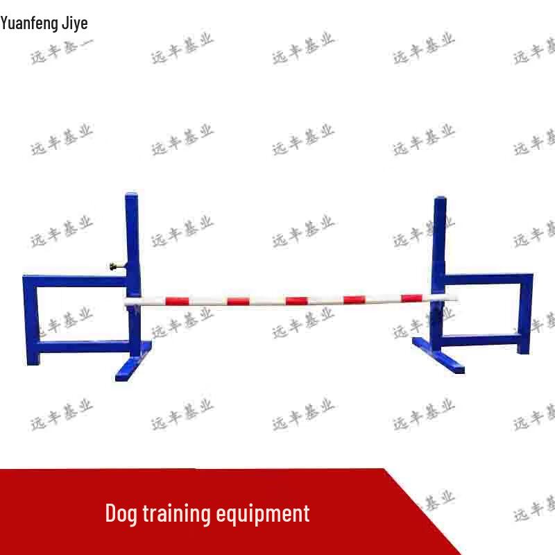 Professional Outdoor Dog Training Obstacles