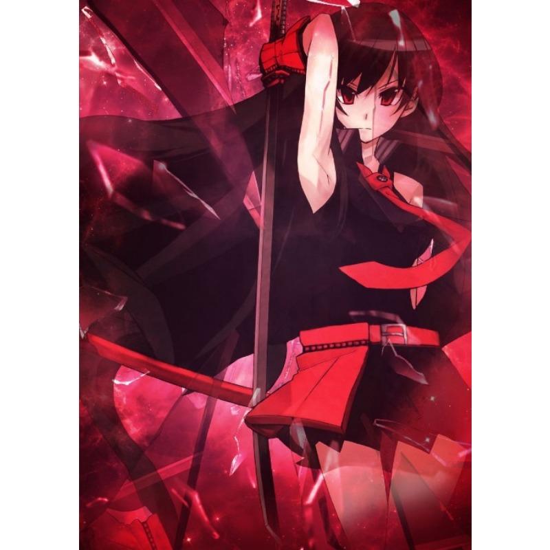 Japanese Anime Akame Ga Kill Akame Poster Anime Character Wall Decor Canvas Print Decoration for Game Room Home Wall Art Picture