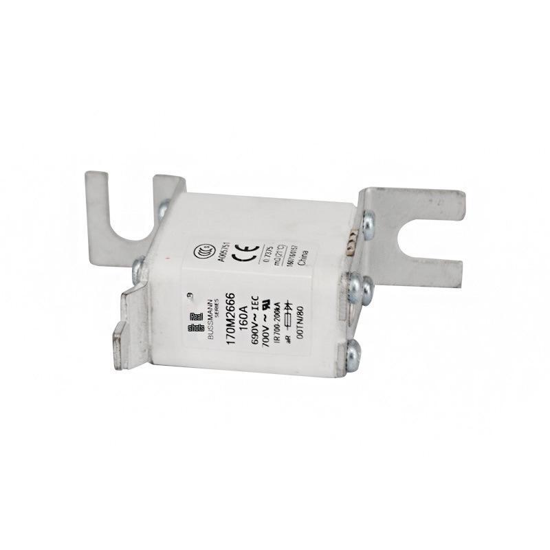 170M2666 & 170M5364 Low-Voltage Fast-Acting Fuses, Complete Model Range Available