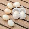 Plastic Eggs Protectors Tray Small Eggs Holder 2 Grid Eggs Storage Container with Fixed Handle  Eggs Storage Box