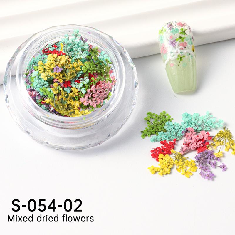 

1 коробка для украшения ногтей цветами, нежные украшения из сухоцветов для дизайна ногтей, изысканный дизайн ногтей, красота для шармов, аксессуары as the picture