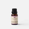 Parfumerie – Uleiuri esențiale
