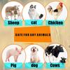  Pet Insect  - 25ML Specially Formulated Pet Spray For In Vitro  Of Lice And Ticks