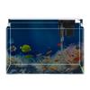 Mini Eco Fish Tank: Hot-Bent Glass, Desktop Goldfish Betta Aquarium, Water-Free Design for Living Room