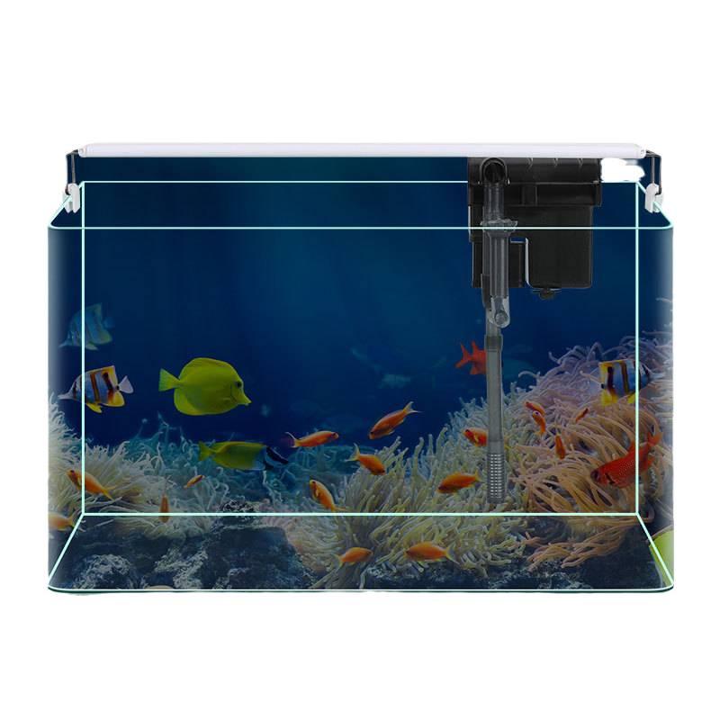 Mini Eco Fish Tank: Hot-Bent Glass, Desktop Goldfish Betta Aquarium, Water-Free Design for Living Room