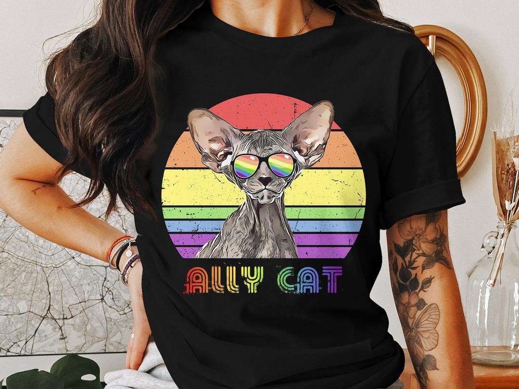 Colorful Rainbow Sphynx Cat T-Shirt, Retro Style Ally Cat Tee, Cat Lover Gift, Unisex Graphic Shirt, Pride Support Top, Cool Cat Apparel