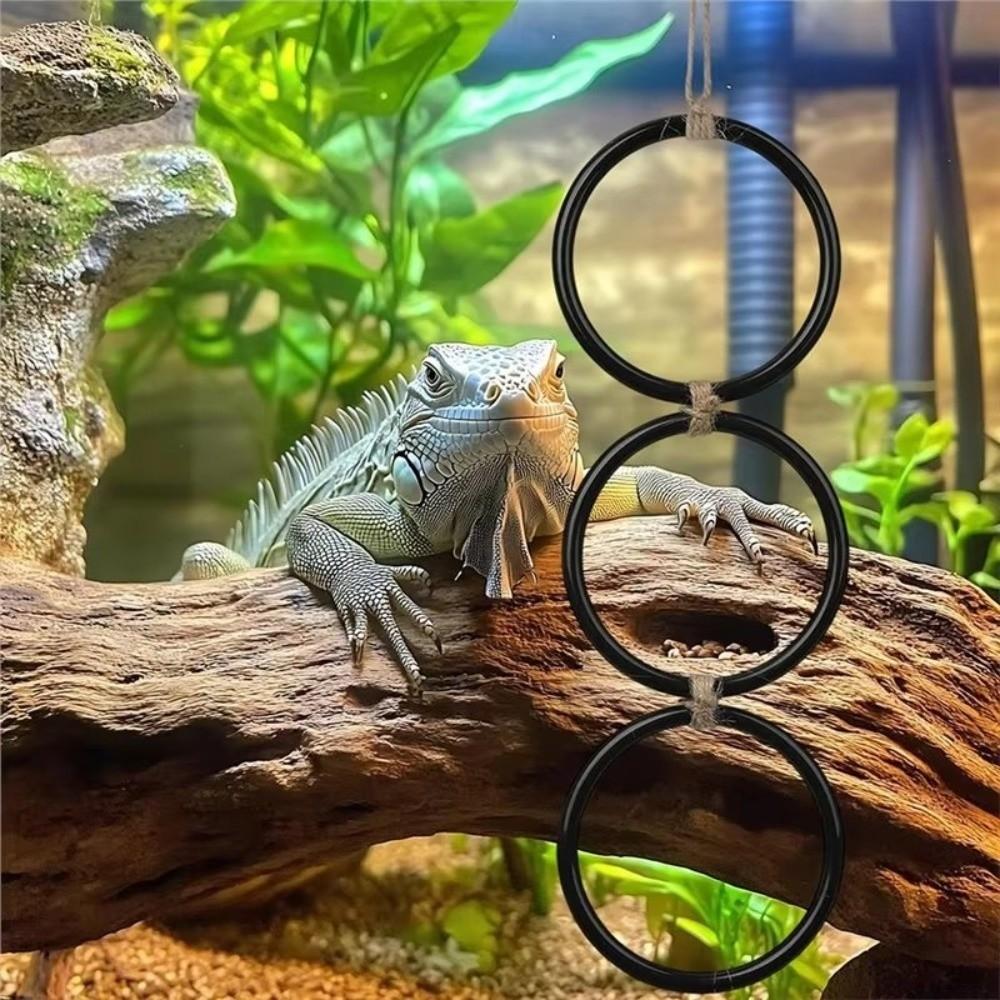Acrylic Reptile Climbing Toy 3 Ring Climbing Hoop Chain  for Birds Corn Snakes Parrot
