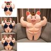 Adorable Plush Pig Doll With Funny Sunglasses Perfect For Birthdays And Cuddling